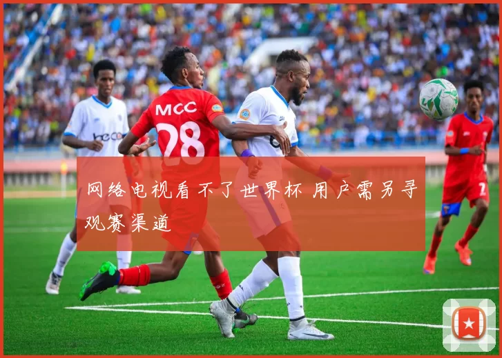 网络电视看不了世界杯 用户需另寻观赛渠道