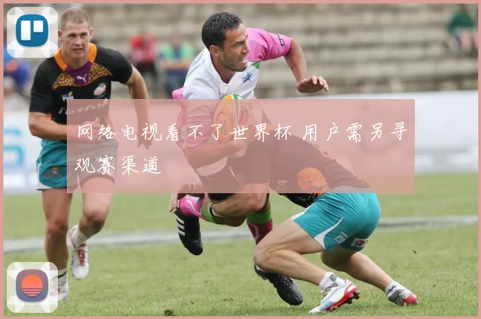 网络电视看不了世界杯 用户需另寻观赛渠道