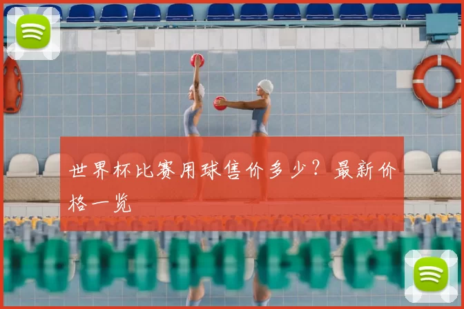 世界杯比赛用球售价多少?最新价格一览