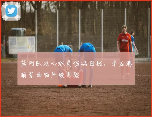 篮网队核心球员伤病困扰,季后赛前景面临严峻考验