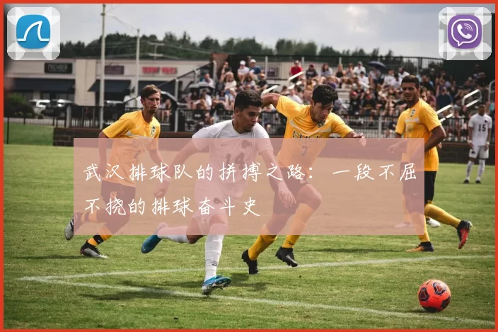 武汉排球队的拼搏之路:一段不屈不挠的排球奋斗史