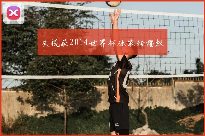 央视获2014世界杯独家转播权