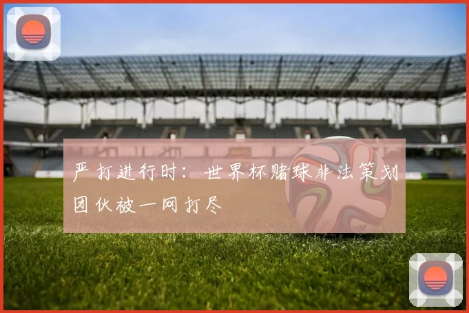 严打进行时:世界杯赌球非法策划团伙被一网打尽