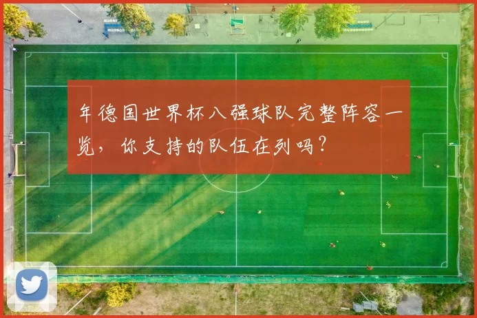 年德国世界杯八强球队完整阵容一览,你支持的队伍在列吗?