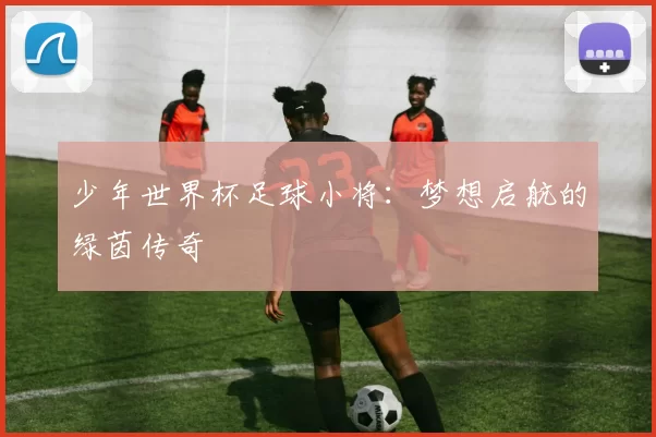 少年世界杯足球小将:梦想启航的绿茵传奇
