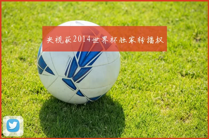 央视获2014世界杯独家转播权