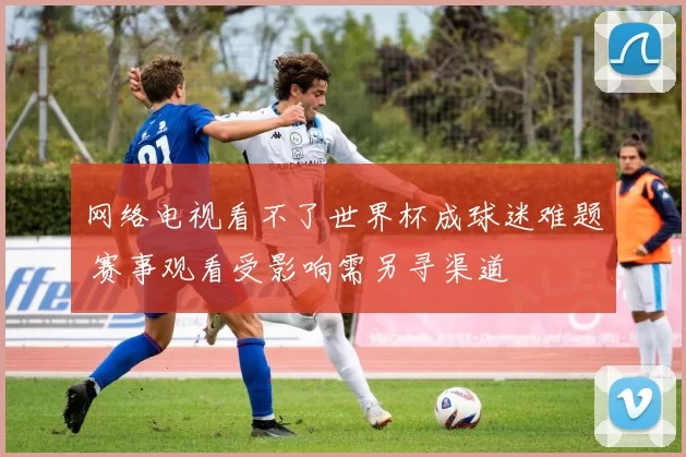 网络电视看不了世界杯成球迷难题 赛事观看受影响需另寻渠道