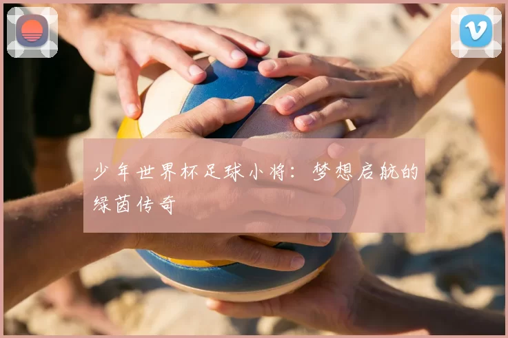 少年世界杯足球小将:梦想启航的绿茵传奇