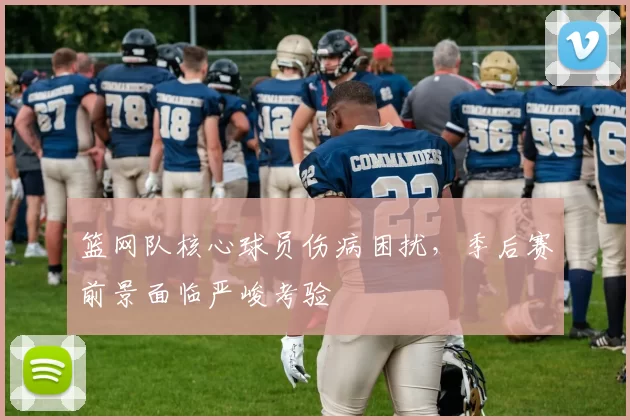 篮网队核心球员伤病困扰,季后赛前景面临严峻考验