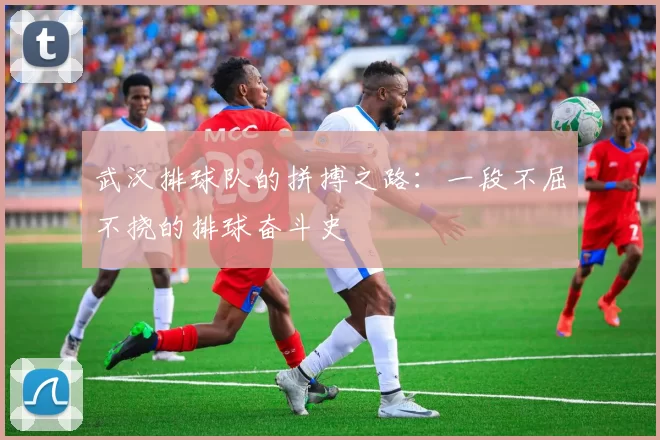 武汉排球队的拼搏之路:一段不屈不挠的排球奋斗史