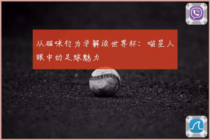 从猫咪行为学解读世界杯:喵星人眼中的足球魅力