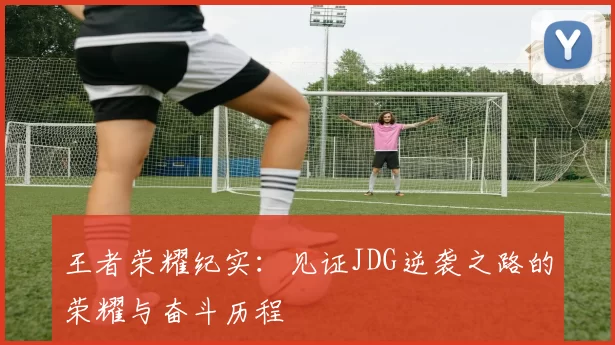 王者荣耀纪实：见证JDG逆袭之路的荣耀与奋斗历程