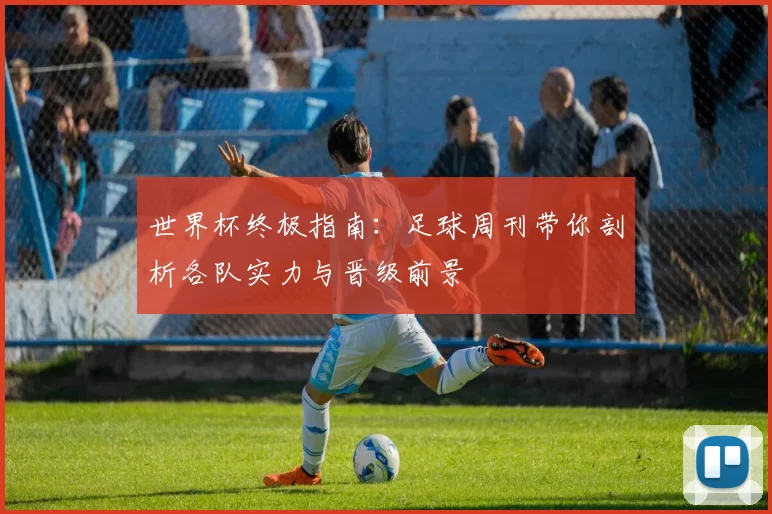 世界杯终极指南：足球周刊带你剖析各队实力与晋级前景