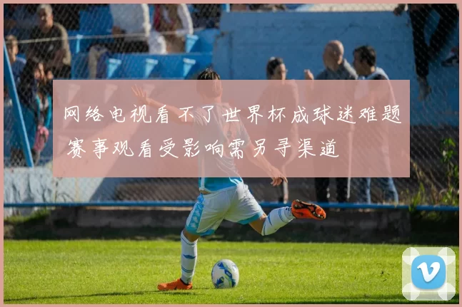 网络电视看不了世界杯成球迷难题 赛事观看受影响需另寻渠道