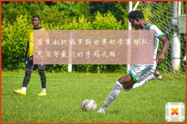 深度剖析俄罗斯世界杯参赛球队:黑马与豪门的夺冠之路