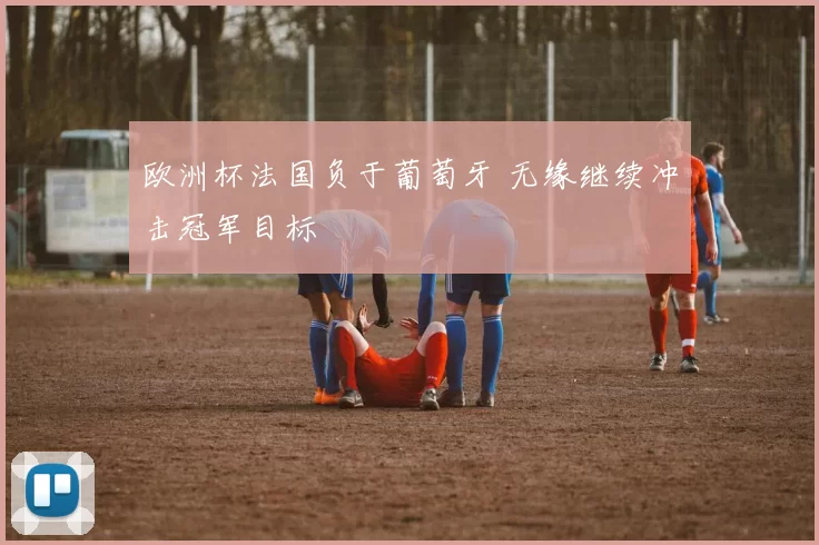 欧洲杯法国负于葡萄牙 无缘继续冲击冠军目标
