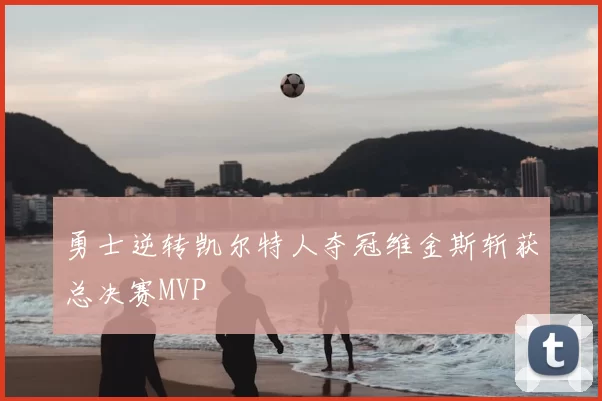 勇士逆转凯尔特人夺冠维金斯斩获总决赛MVP