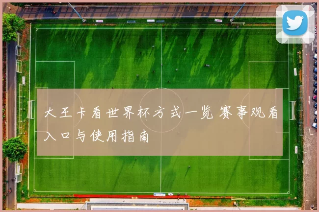 大王卡看世界杯方式一览 赛事观看入口与使用指南