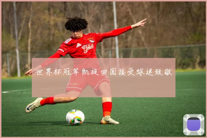 世界杯冠军凯旋回国接受球迷致敬